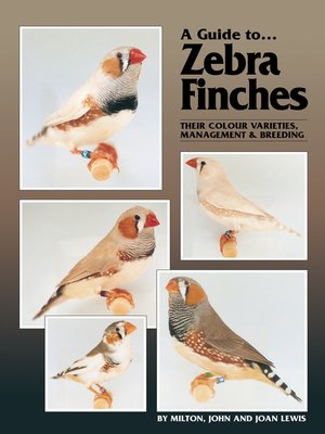 cover image of A Guide to Zebra Finches